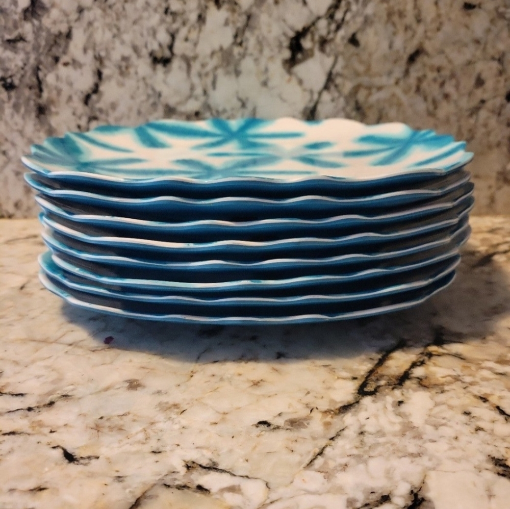 Hard plastic plates (set of 8)